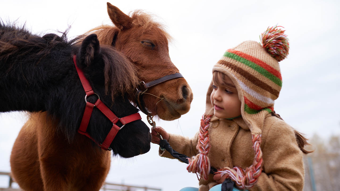 LFIC_AnimaliGalls_0003_AdobeStock_384619584